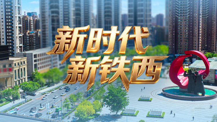 观察式的报道